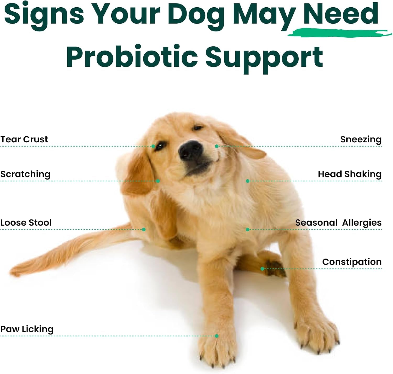 dog-probiotics-and-multivitamin-chews-for-digestive-health-immune-support-gut-health-allergy-support-dog-vitamins-with-vitamin-c-omega-3-colostrum-60-soft-chews-per-jar