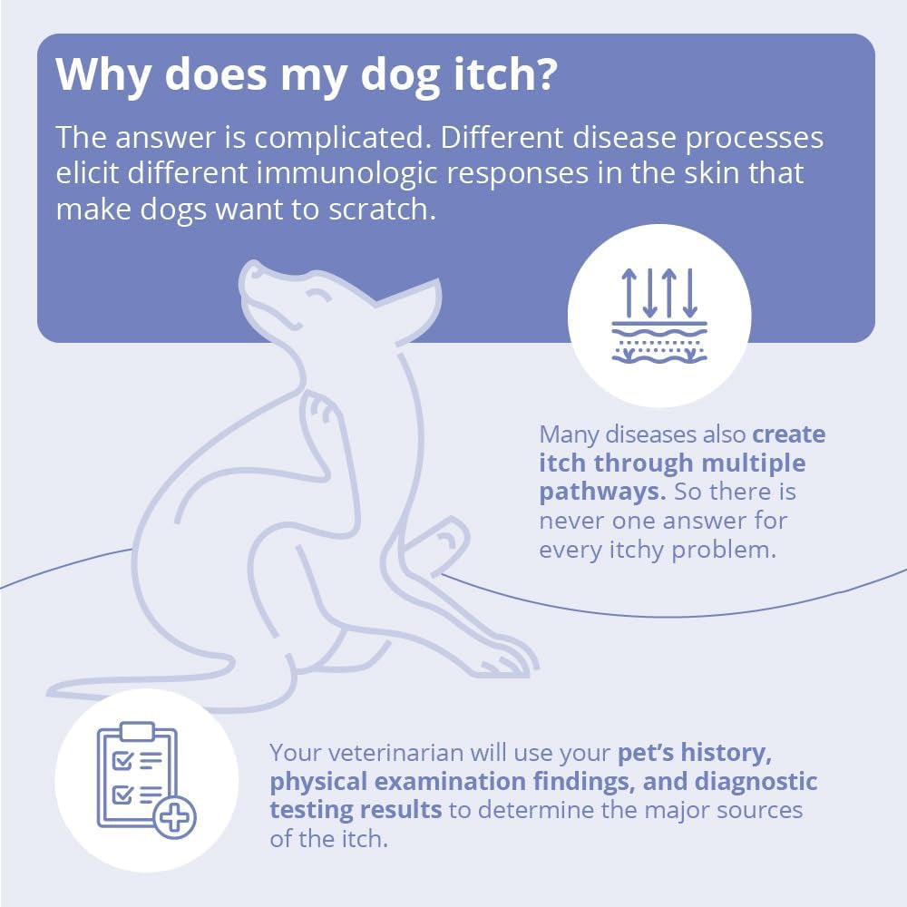 miconahex-triz-wipes-2-25-round-for-dogs-cats-and-horses-50-count-jar-antibiofilm-moisturizing-packaging-may-vary