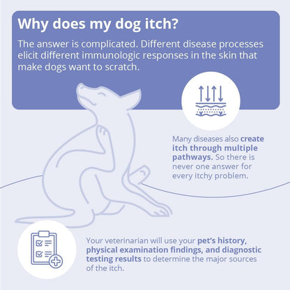 Miconahex+Triz Wipes, 2.25" round for Dogs, Cats and Horses, 50 Count Jar | Antibiofilm, Moisturizing; Packaging May Vary7