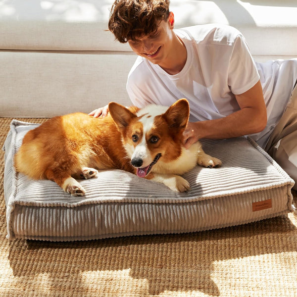 FUKUMARU 5.5-Inch Thick Dog Bed Mat, Washable Cat Bed with Waterproof Lining, Orthopedic Dog Beds for Senior Dogs, Cozy Flat Dog Kennel Bed for Crate, Non-Slip Pet Pillow Bed, Grey6