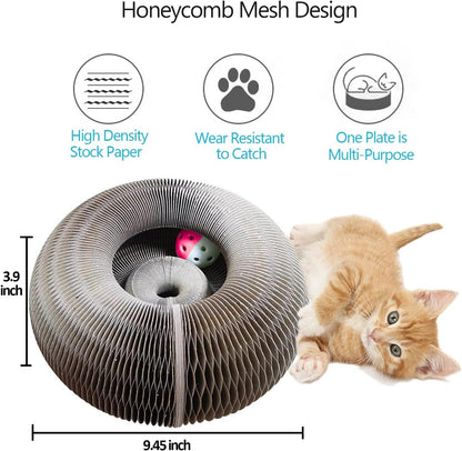 Enkman Kitty Kurlz Magic Organ Cat Scratcher Board Cat Ball Adventure the Ultimate Interactive Mental Physical Exercise for Indoor Cats Toy4