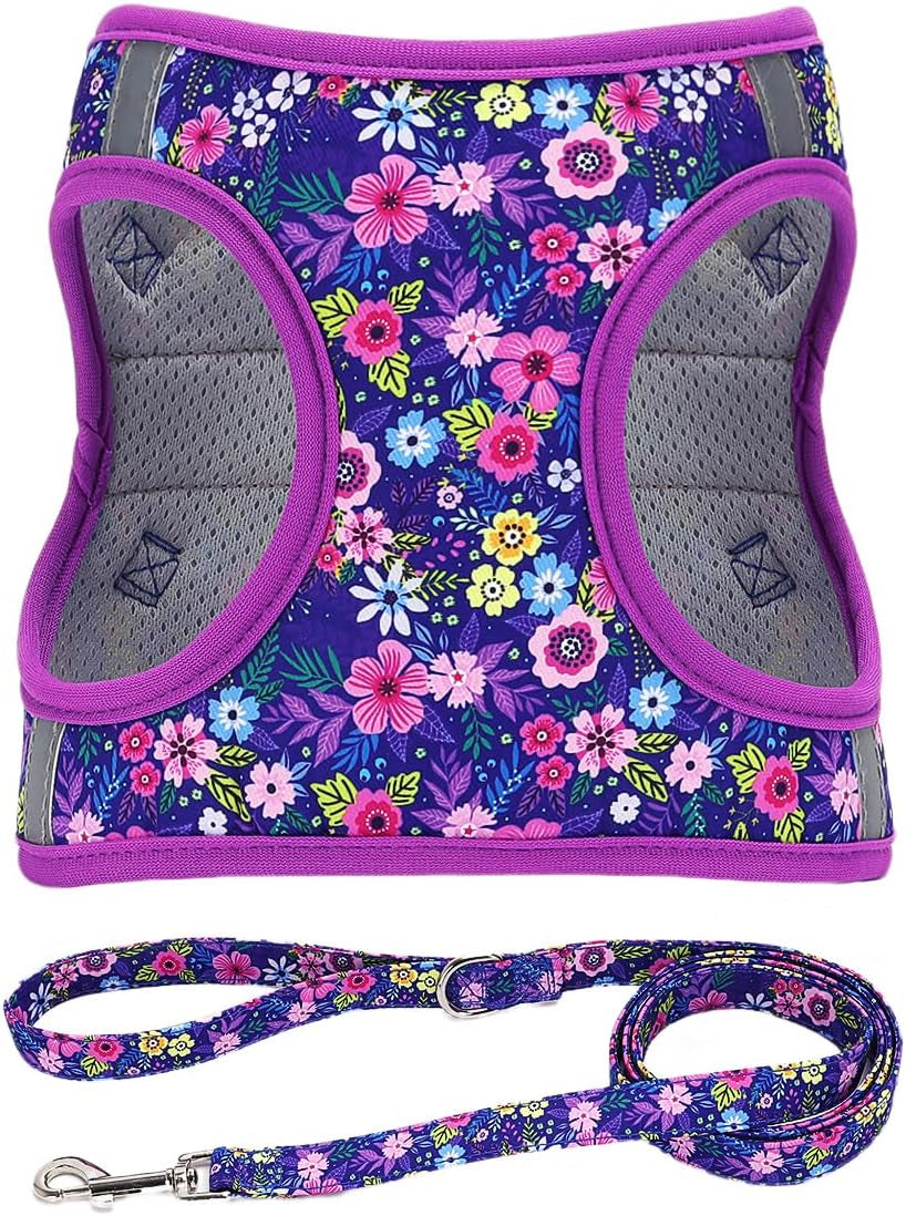 step-in-dog-harness-leash-set-all-weather-reflective-no-pull-floral-pattern-padded-mesh-vest-harness-for-cats-puppy-extra-small-small-medium-large-dogs-pink-flower-s