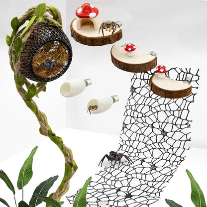 Jumping Spider Habitat Accessories Enclosure Habitat Accessories Jumping Spider Web Climbing and Feeding Platforms with Magnets for Small Insects Critters1