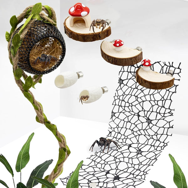 Jumping Spider Habitat Accessories Enclosure Habitat Accessories Jumping Spider Web Climbing and Feeding Platforms with Magnets for Small Insects Critters1