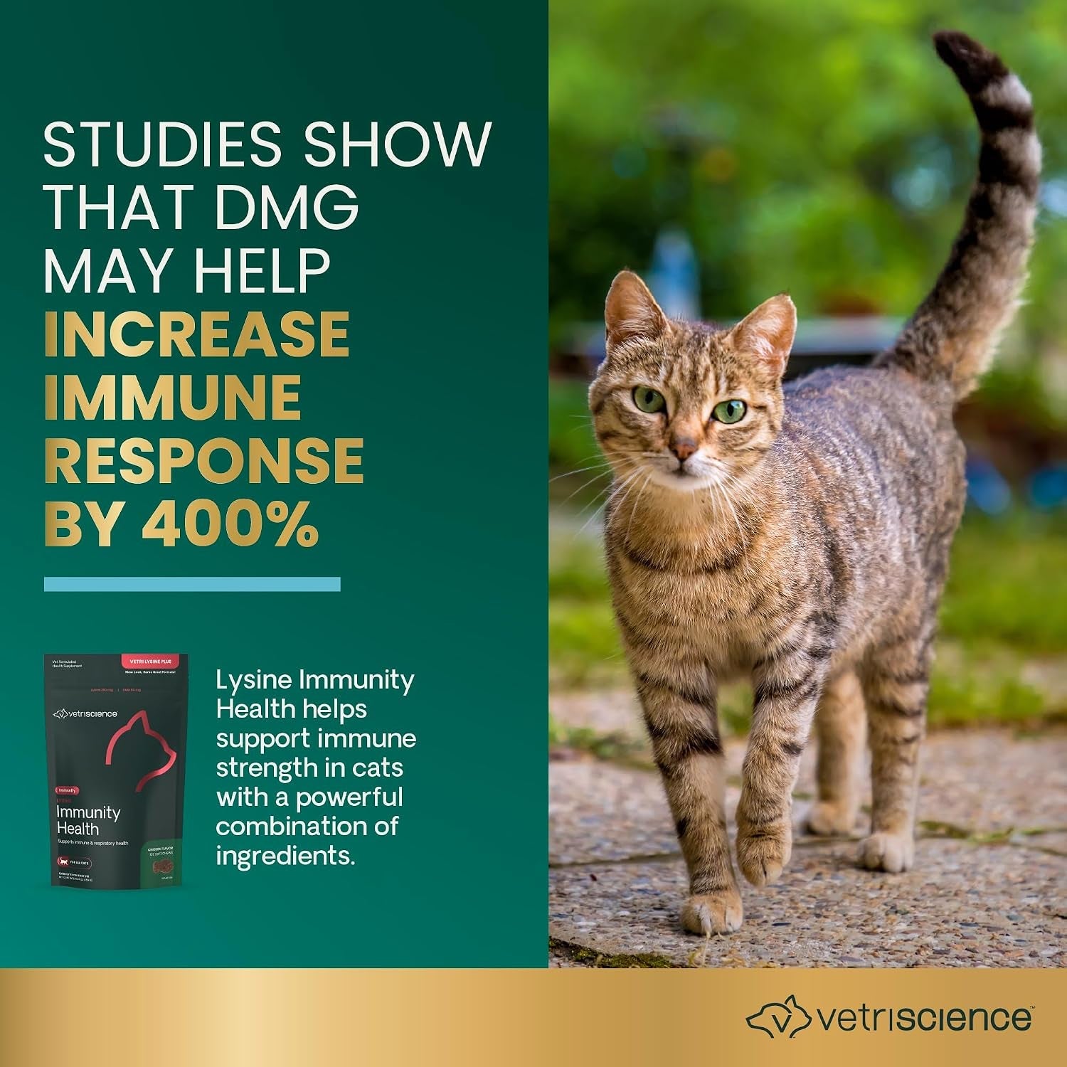 vetriscience-lysine-immunity-health-chews-250-mg-lysine-plus-immune-supplement-for-cats-and-kittens-with-allergies-sneezing-runny-nose-and-watery-eyes-chicken-120-count