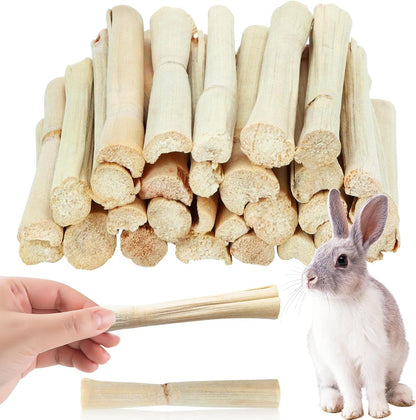 2Lb Sweet Bamboo Chew Sticks for Rabbits & Guinea Pigs - Natural Molar Teething Treats, 60-75 Sticks, Dental Grinding Toys for Hamsters, Chinchillas, Rats & Small Animals9