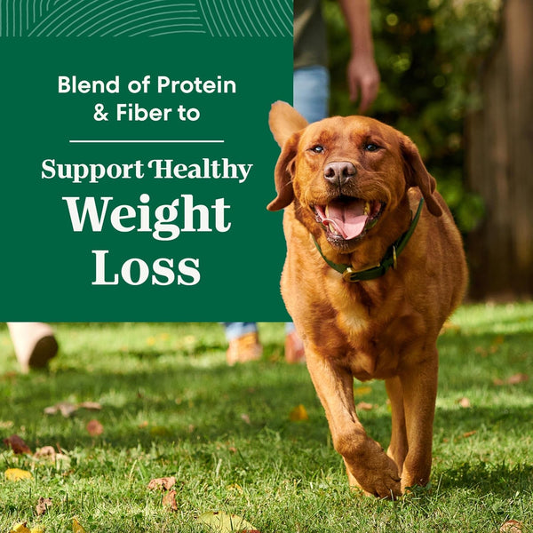 Nutro Natural Choice Healthy Weight Dry Dog Food, Chicken & Rice, 30 Lb | Non-Gmo, Chicken #1 Ingredient, No Corn, Wheat, Soy, Supports Weight Loss, Skin & Coat, Digestive & Immune Health3