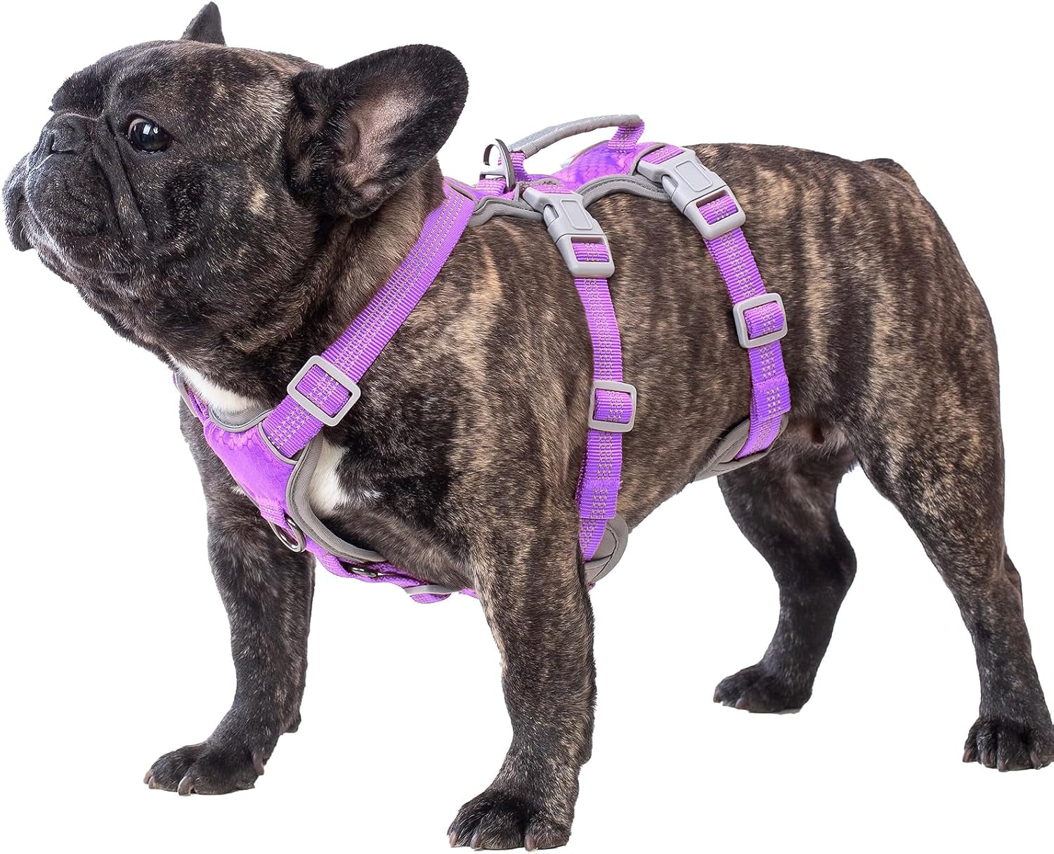 huntboo-escape-proof-dog-harness-escape-artist-harness-reflective-harness-with-padded-handle-breathable-durable-adjustable-vest-for-medium-dogs-walking-training-and-running-gear-blue-m