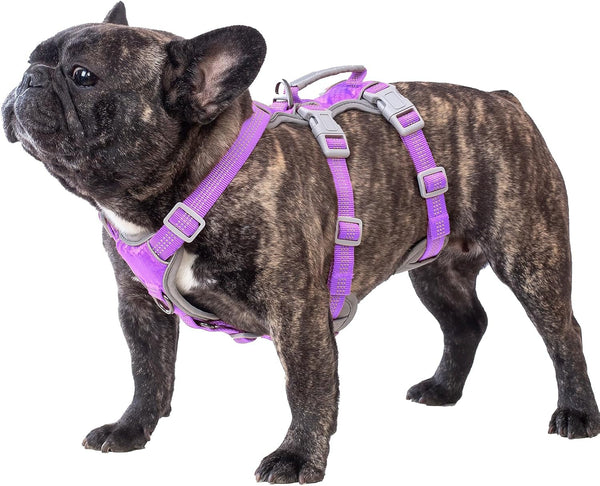 Huntboo Escape Proof Dog Harness, Escape Artist Harness, Reflective Harness with Padded Handle, Breathable, Durable, Adjustable Vest for Medium Dogs Walking, Training, and Running Gear (Blue, M)11