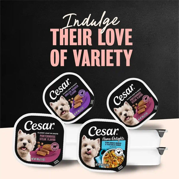 Cesar Wet Dog Food Classic Loaf in Sauce Grilled Chicken, Filet Mignon, Porterhouse Steak, Beef, Chicken & Liver and Turkey Variety Pack 3.5 Oz. Easy Peel Trays (36 Count, Pack of 1) | Made in USA, Real Meat #1 Ingredient, No Fillers or Artificial Flavors, Formulated without Grains, Easy Peel Trays7