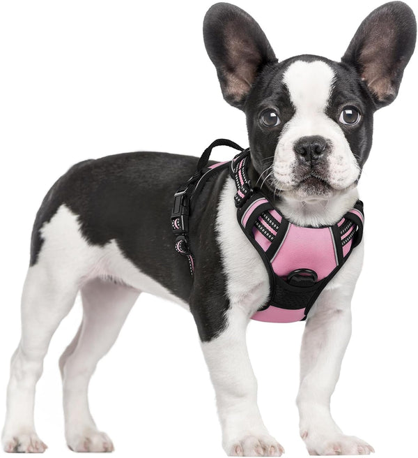 Rabbitgoo Dog Harness, No Pull for Large Dogs with 2 Leash Clips, Pet Vest | No Choke with Handle, Adjustable Soft Padded, Reflective, Easy Control for Walking, Black, Large133