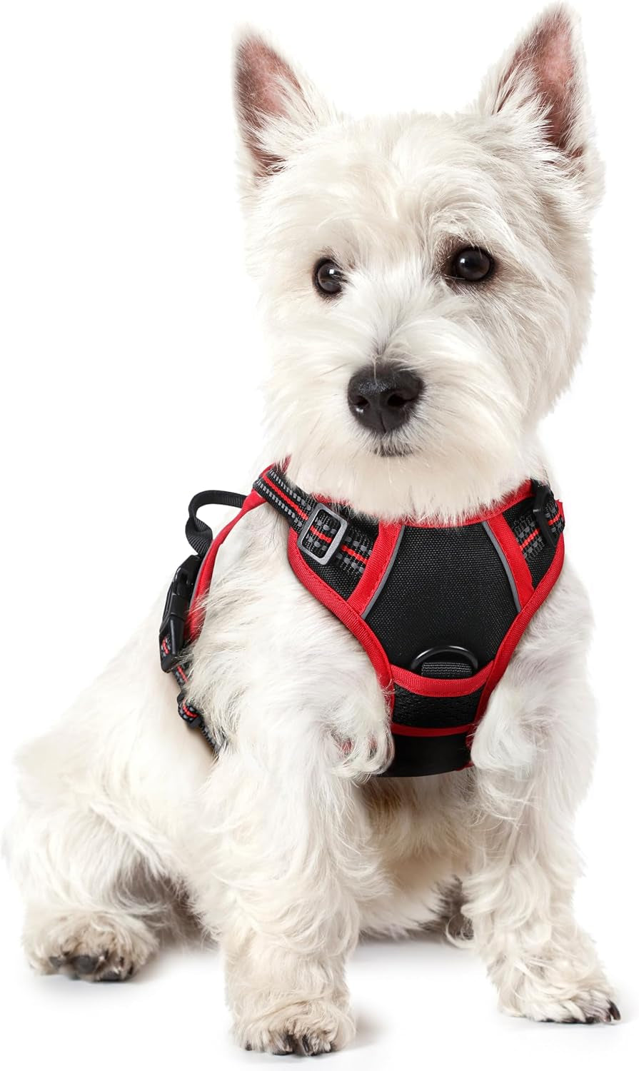 rabbitgoo-dog-harness-no-pull-for-large-dogs-with-2-leash-clips-pet-vest-no-choke-with-handle-adjustable-soft-padded-reflective-easy-control-for-walking-black-large