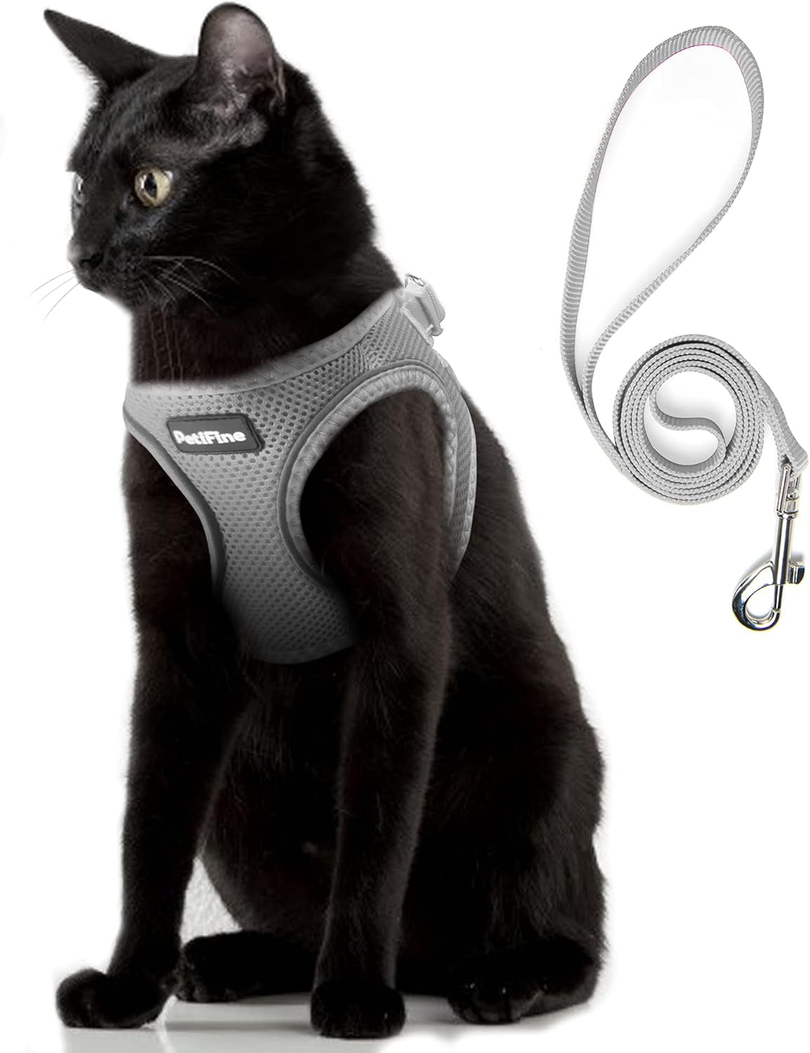 small-dog-harness-and-leash-set-breathable-step-in-puppy-cat-harness-xs-reflective-for-safe-easy-walking-soft-light-puppy-vest-escape-proof-no-pull-harness-for-dogs-all-weather-air-mesh-harness