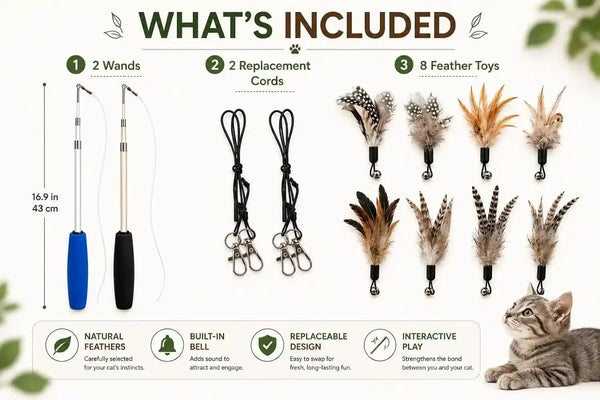 Cat Toys - No Chemical Dyeing Cat Feather Toys for Indoor Cats - Include Cat Wand and Natural Feather Refills6