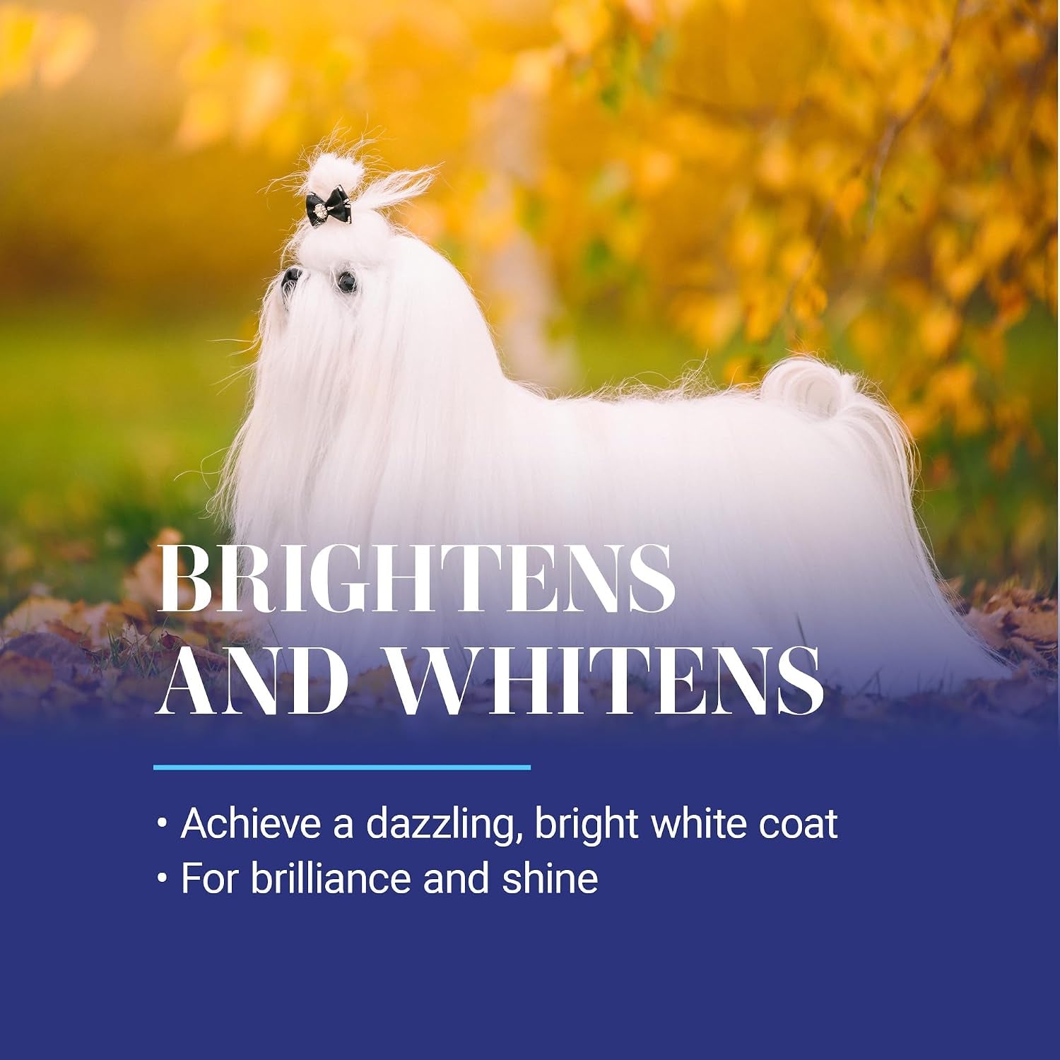 chris-christensen-white-on-white-whitening-treatment-dog-shampoo-16oz