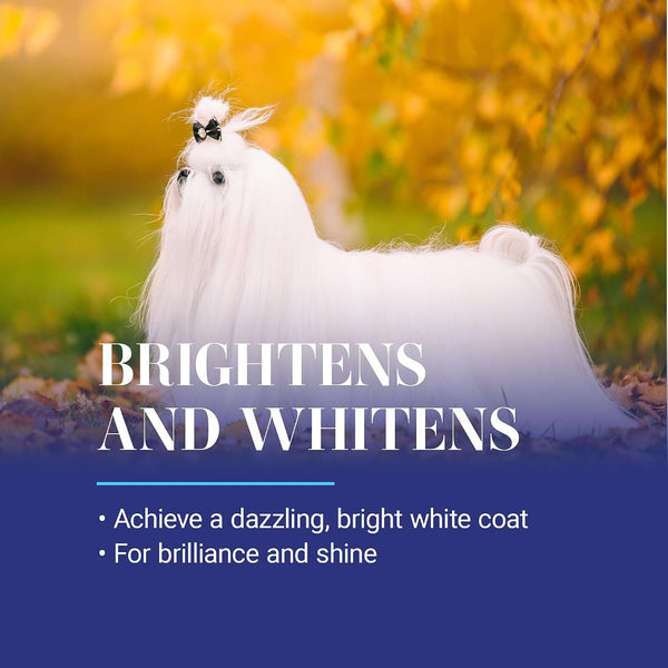 Chris Christensen White on White Whitening Treatment Dog Shampoo (16OZ)4