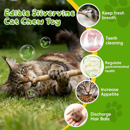Silvervine Sticks for Cats & Cat Chew Rope Toys for Indoor Cats Dental Care Teeth Cleaning, Kitten & Cat Teething Toys for Health, Cat Chew Stick Suitable for All Breeds of Aggressive Chewers Cat3
