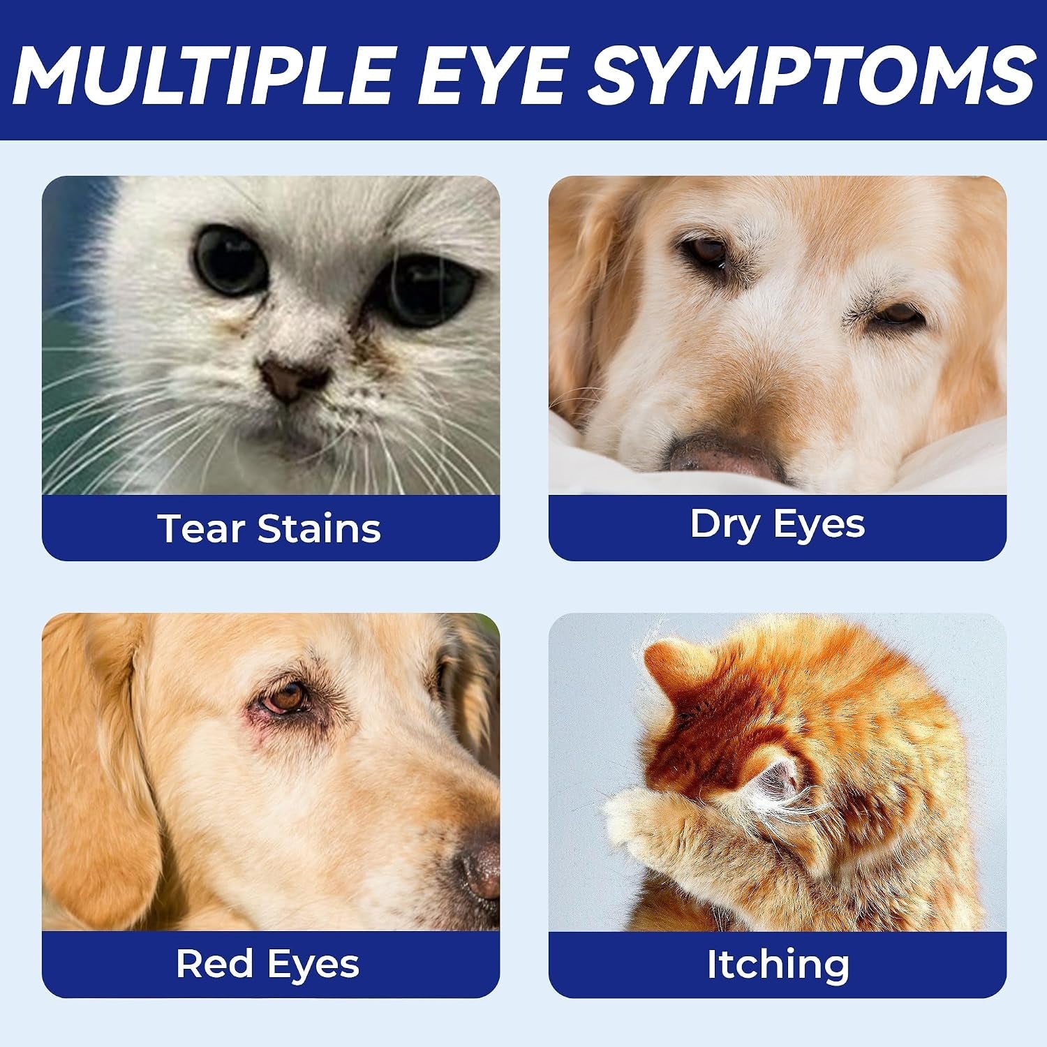 wellix-pet-eye-drops-for-dog-cat-non-irritating-taurine-dog-eye-drop-dog-cat-eye-infection-treatment-to-soothe-eye-allergy-dry-eyes-pink-eyes-dog-tear-stain-cleaner-mild-herbal-blend-60ml