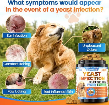 Yeast Infection Treatment for Dogs, 200 Chew Carmelie Yeast Balance Healthy Itch Relief, Ear Paw Care for Dog, Allergy Supports, Inflammation Relief for Dogs, Chinken Flavor (70 Days Supply)2