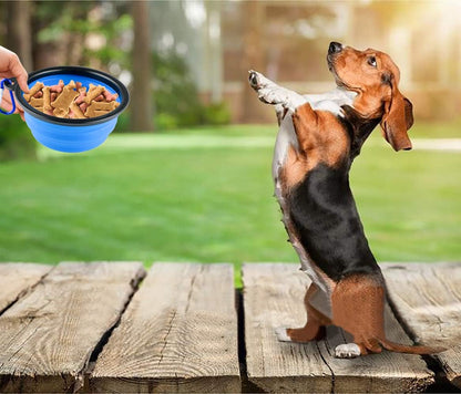 Collapsible Silicone Dog Bowls, 3-Pack Travel Pet Food Water Bowls | Orange, Green & Blue. 5.1 in Wide, 2.1 in Tall, Folds to 0.5 In. Holds 12 Oz Water or 1.5 Cups Food. Includes ID Tag.6