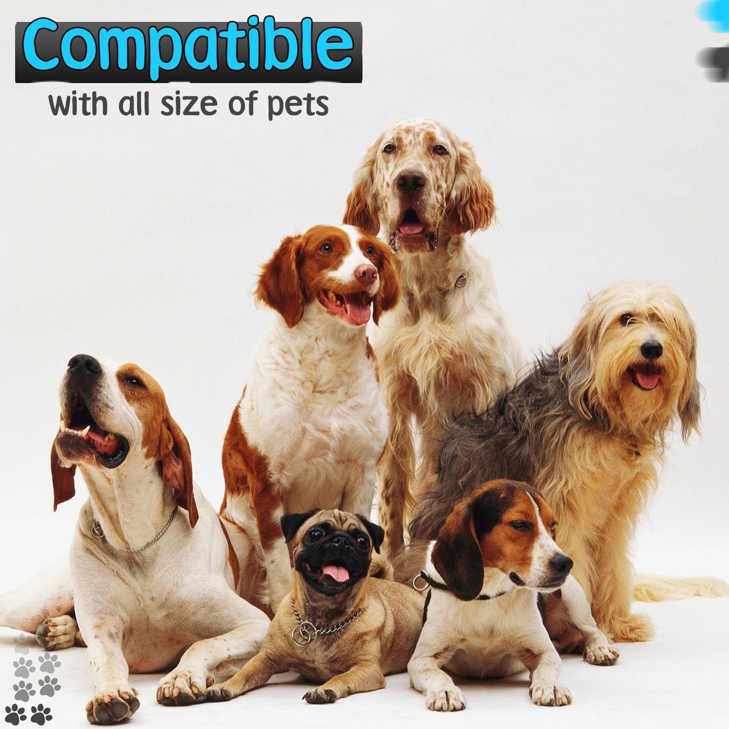gentle-leader-for-dogs-2x-free-training-clicker-essential-gentle-leader-gentle-leader-with-quick-snap-neck-strap-nose-loop-bonus-clickers-with-wrist-strap-for-leash-training-no-pull-harness