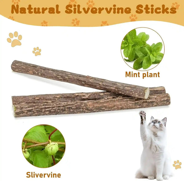 Wolover Silvervine Sticks for Cats, Natural Catnip Matatabi Chew Sticks Teeth Molar Chew Toys for Cat Kitten Kitty (At Least 12 PCS)6
