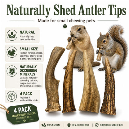 Whitetail Naturals Small Animal Antler Chews, 4 Pack Gnaw Stick Toys | for Squirrels Hamsters Gerbils Guinea Pigs Rats Degus Prairiedogs Chinchilas Rabbits - Calcium & Minerals - Not for Dogs2