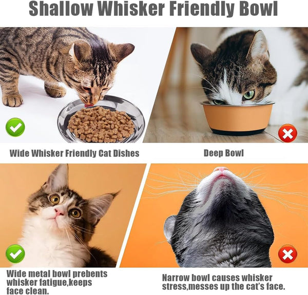 Stainless Steel Cat Bowls Food Dishes for Indoor Cats Cats Shallow Whisker Friendly 6.4Inches Cat Food Water Dishes Bowls Whisker Fatigue Relief Dishwasher Safe 2Pcs3