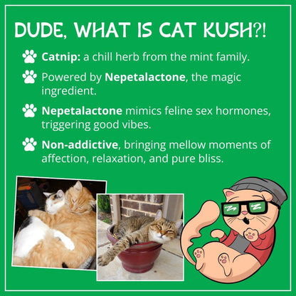 Organic Catnip, Safe Premium Blend Perfect for Cats, Instilled with Maximized Potency Your Kitty Is Sure to Go Crazy for (1 Cup) | Instilled with Maximized Potency Your Kitty Is Guaranteed to Go Crazy For! (1 Cup)2