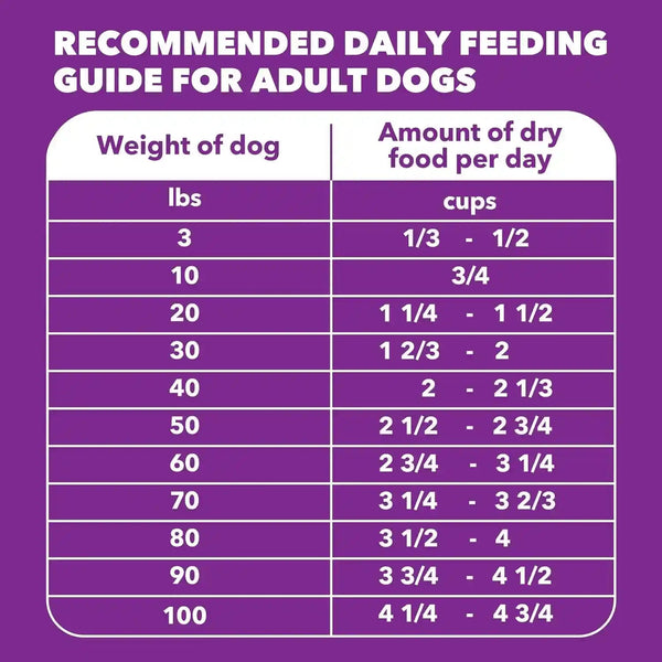IAMS Advanced Health Healthy Digestion Dry Dog Food, Chicken, 13.5 Lb | Real Farm-Raised Chicken #1 Ingredient, 0% Fillers, Natural Fiber & Prebiotics, Supports Digestive Health9