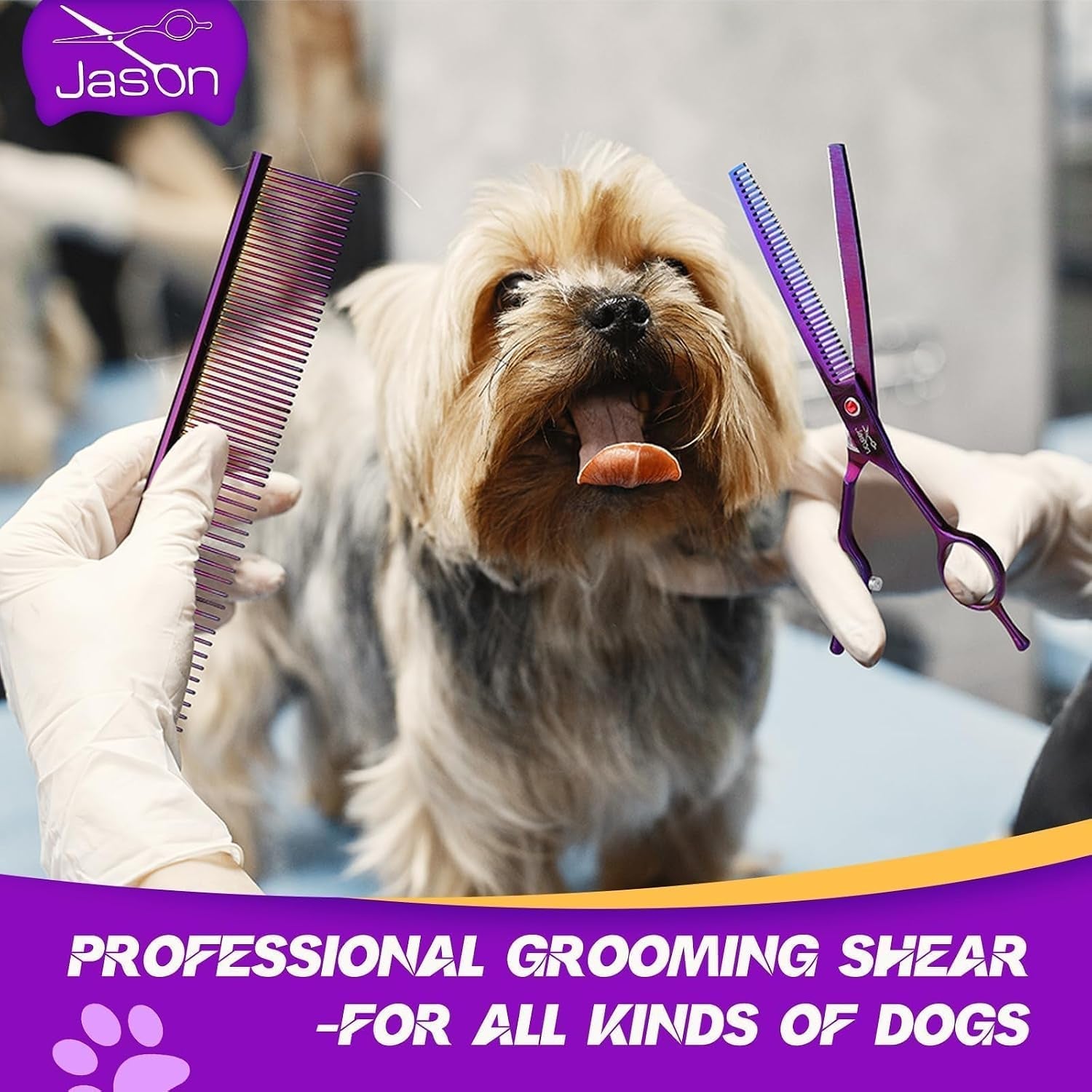 jason-grooming-scissors-for-dogs-sharp-thinning-dog-shear-with-muffler-pad-stainless-steel-dog-grooming-shears-professional-texture-scissors-for-pets-christmas-gift