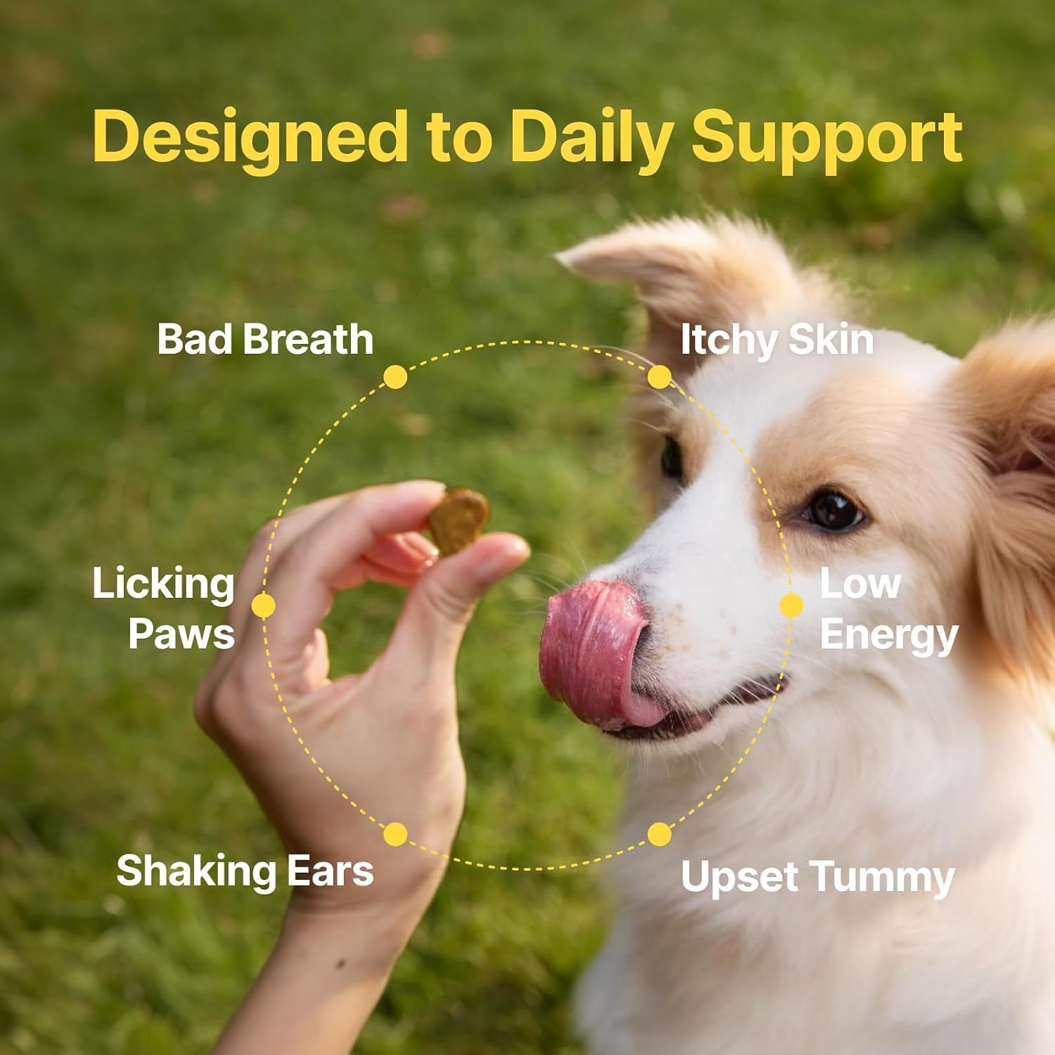 penpen-probiotics-for-dogs-dogs-probiotics-for-digestive-health-multi-probiotic-and-enzyme-blend-promote-gut-health-immune-support-eases-sensitive-stomachs-beef-chews-50ct