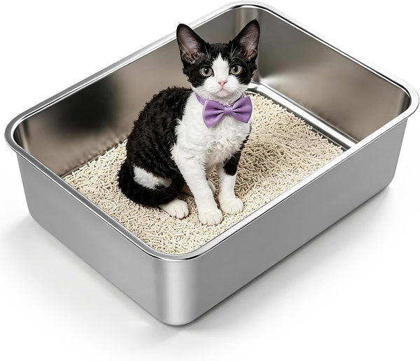 XL Enclosed Stainless Steel Litter Box with Lid, Light Gray | Covered, High Sided, Rustproof & Leak Proof, Easy Clean, Odor Control, Includes Scoop & Step10