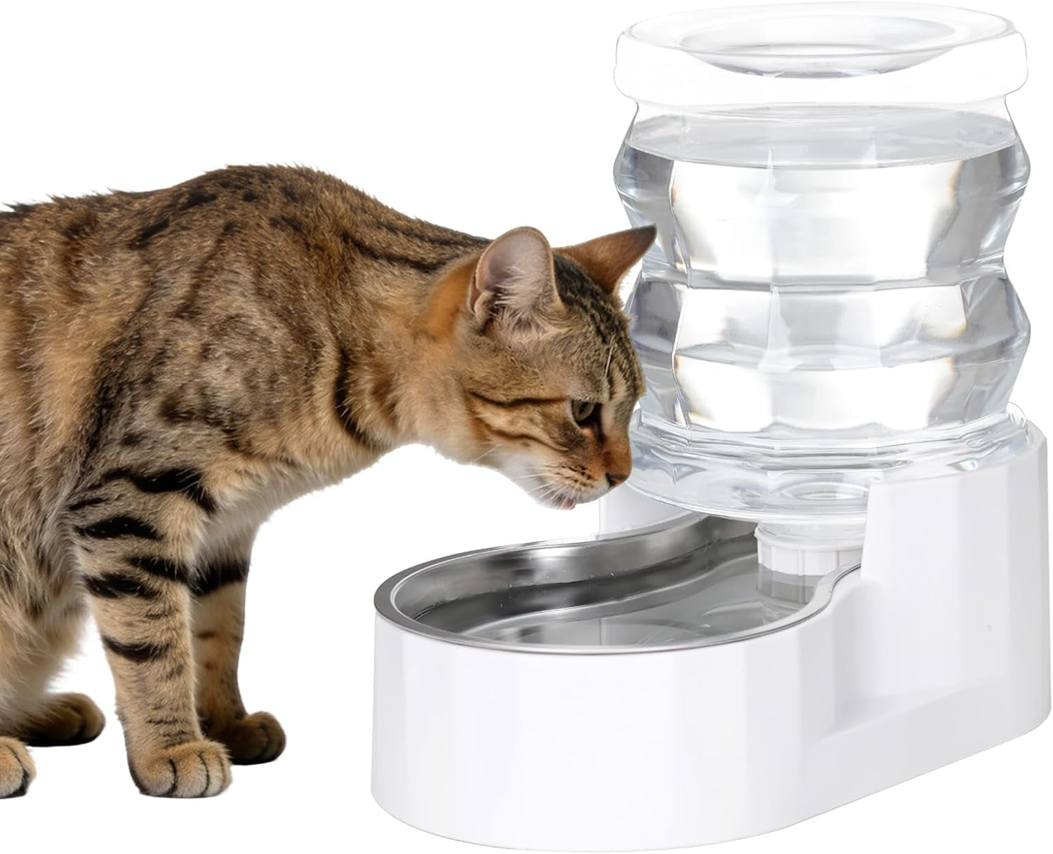 rizzari-8l-gravity-dog-water-dispenser-stainless-steel-bowl-anti-splash-wide-mouth-easy-cleaning-dishwasher-safe-no-electricity-needed-filtered-fresh-water-multi-pet-homes