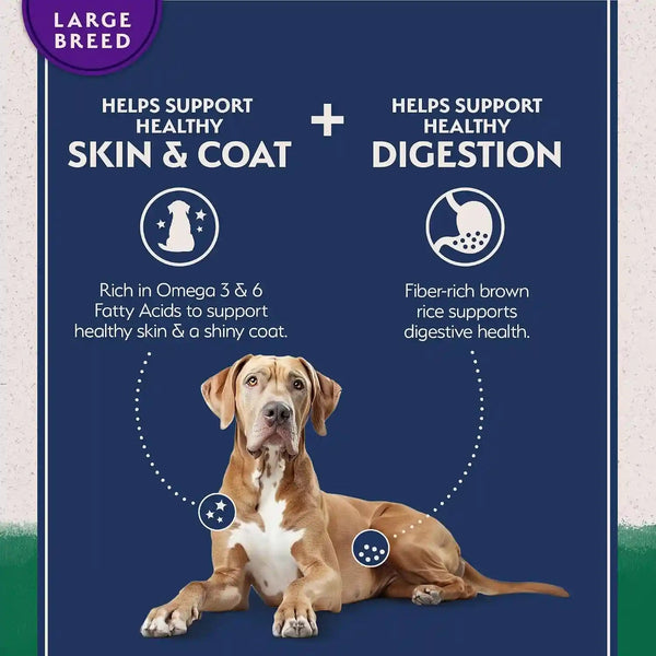 Natural Balance Limited Ingredient Large Breed Dry Dog Food - Complete Nutrition for Large Breeds - Wholesome Grains Brown Rice Recipe - Limited Ingredient Formula - 26 Lb - Lamb & Brown Rice4
