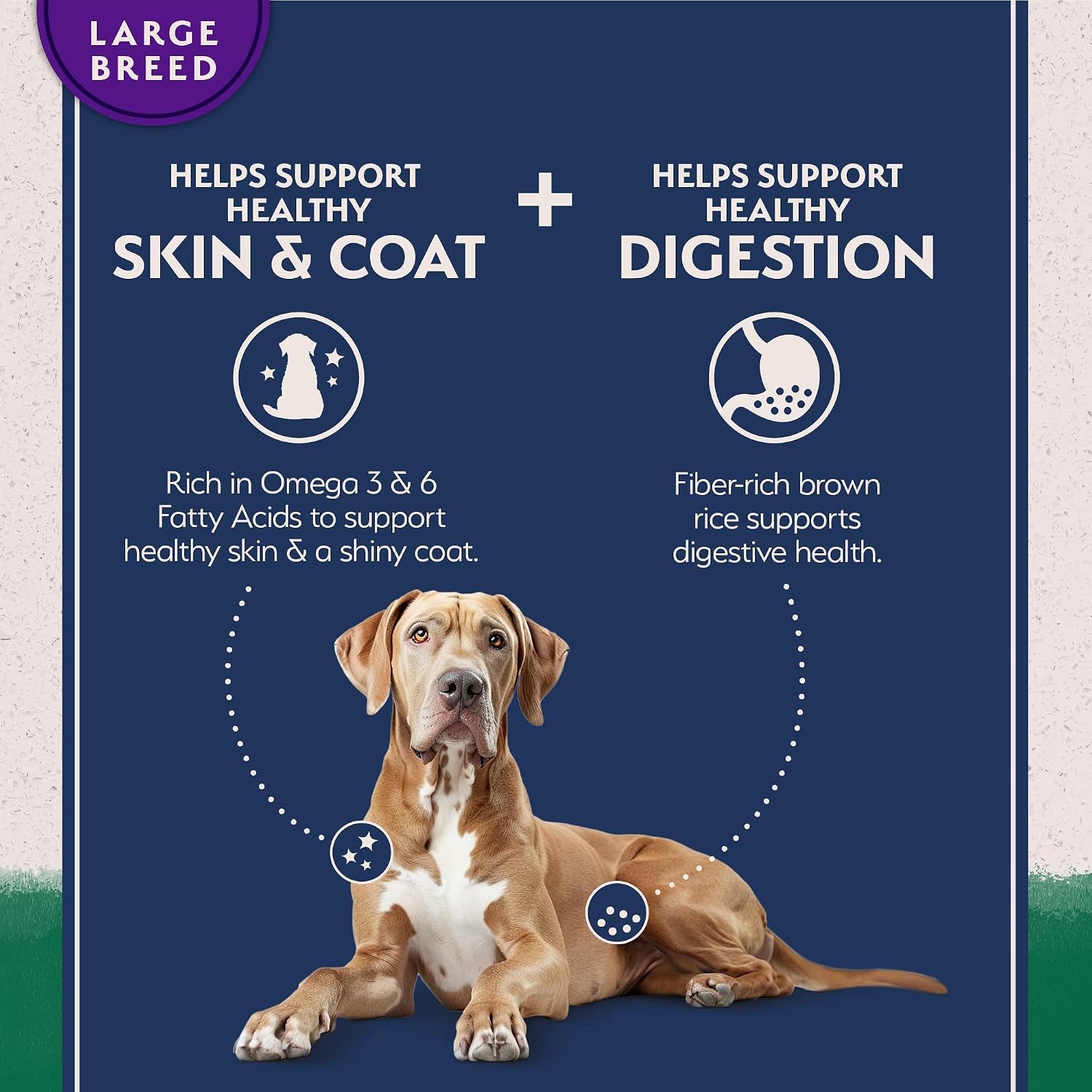 natural-balance-limited-ingredient-large-breed-dry-dog-food-complete-nutrition-for-large-breeds-wholesome-grains-brown-rice-recipe-limited-ingredient-formula-26-lb-lamb-brown-rice