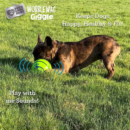 Wobble Wag Giggle Ball, Interactive Dog Toy, Fun Giggle Sounds When Rolled or Shaken, Pets Know Best, as Seen on TV4