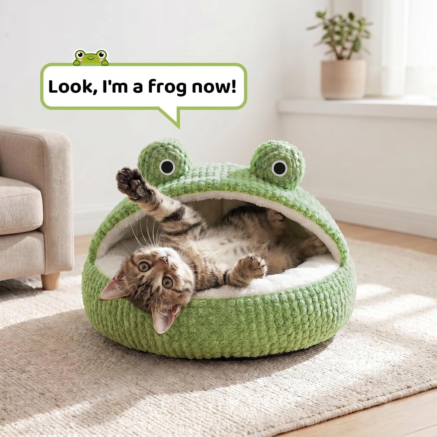 cwv-cute-cat-beds-kitten-beds-soft-small-dog-beds-washable-pet-beds-for-puppy-and-kitty-funny-frog-cat-cave-23-inches