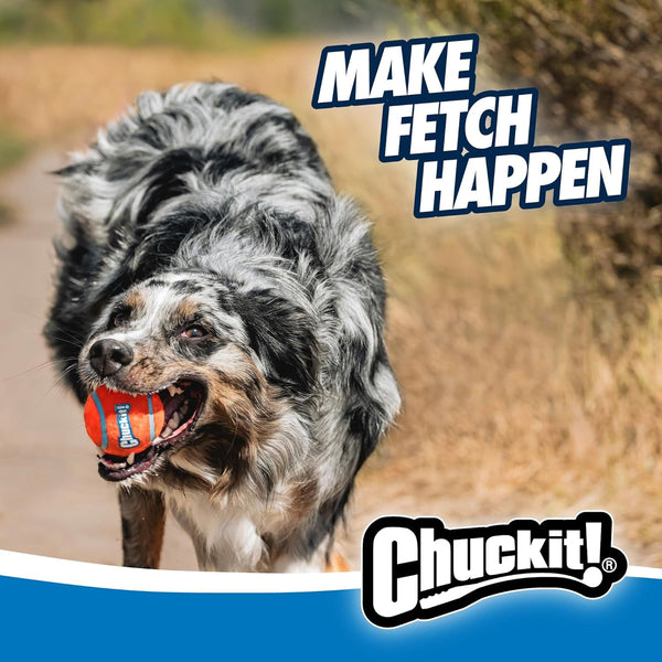 Chuckit! Dog Ball Launcher 12M Sport with 12" Handle Length for Medium 2.5" Dog Balls for Dogs 20-60 Lb, Plastic Pet Fetch Ball Thrower, Perfect for Kids, Made in USA, Blue9