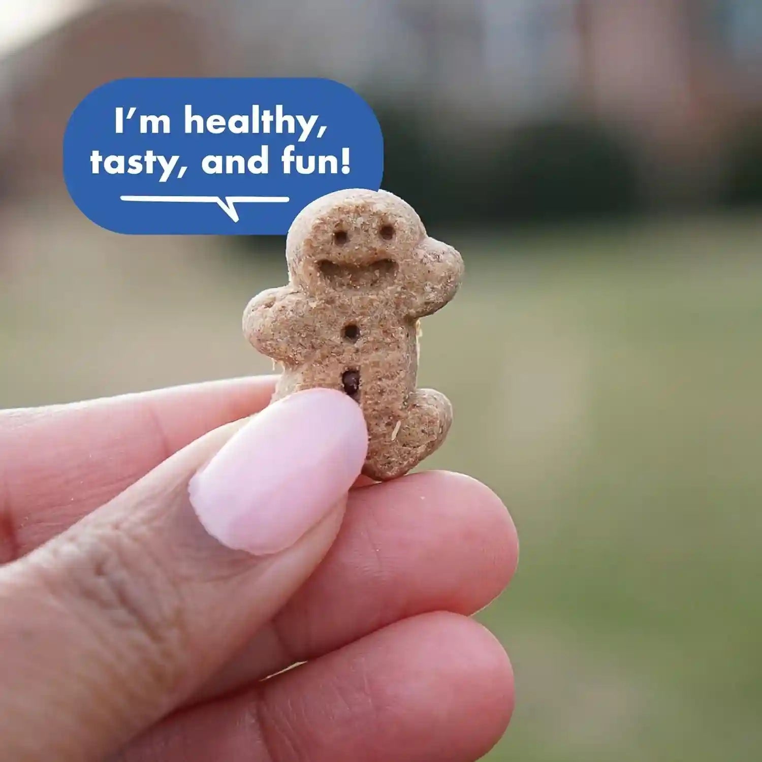 buddy-biscuits-original-soft-chewy-w-bacon-cheese-20oz
