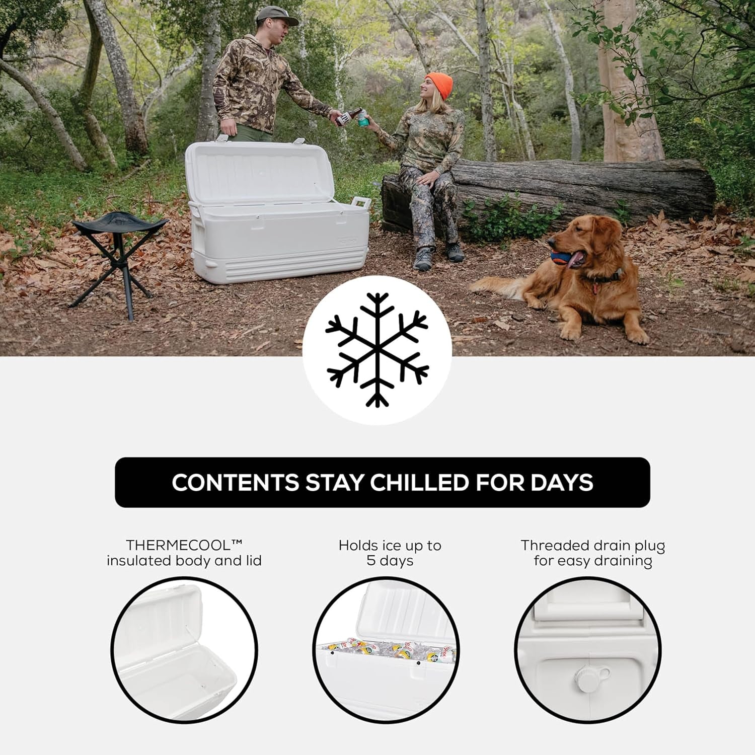 hard-cooler-polar-party-bar-series-insulated-ice-chests