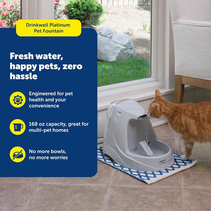 Petsafe Drinkwell Platinum Cat Water Fountain, 168 Oz/5L, Grey | Free-Falling Stream Encourages Drinking, Dishwasher Safe, Large Capacity, Includes Replaceable Carbon Filter2