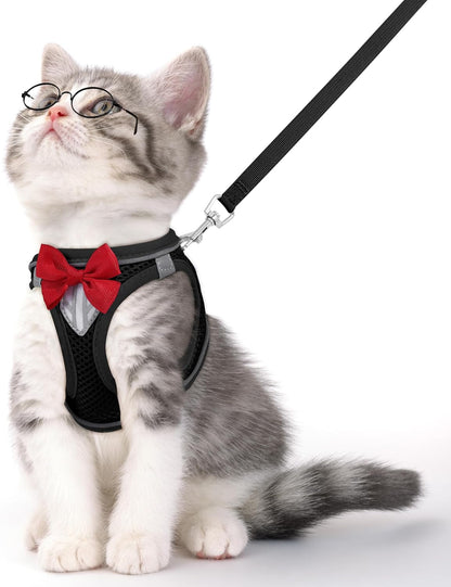 Cat Vest Harness and Leash Set, Escape Proof Kitten Harness Pink XS | Safe Reflective Strips, Adjustable Easy Wear Kitty Harness, Sturdy Clip Buckle, Breathable Mesh , for Kitty Puppy Bunny Walks11