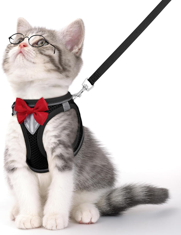 Cat Vest Harness and Leash Set, Escape Proof Kitten Harness Pink XS | Safe Reflective Strips, Adjustable Easy Wear Kitty Harness, Sturdy Clip Buckle, Breathable Mesh , for Kitty Puppy Bunny Walks11