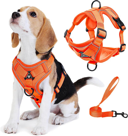 No Pull Dog Harness with Leash Set for Small Sized Dog, Reflective Adjustable No Choke Front Clip Cat Vest Harness with Breathable Mesh, Comfortable Soft Padded Pet Vest, Blue M9