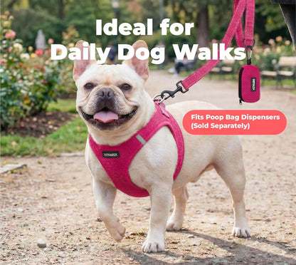 Best Pet Supplies Voyager Nylon Dog Leash - Fuchsia, Small | 5Ft in Length, 5/8" in Width, Reflective, Soft Neoprene Handle, Heavy Duty Metal Clips for Running, Walking & Training3