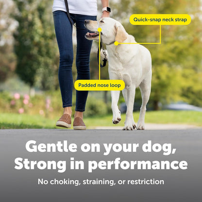 Petsafe Gentle Leader No Pull Dog Headcollar, Royal Blue, Medium | Veterinary Behaviorist-Designed No-Pull Headcollar Redirects Pulling Instinct, Padded Neoprene Nose Loop, Quick-Snap Fit4