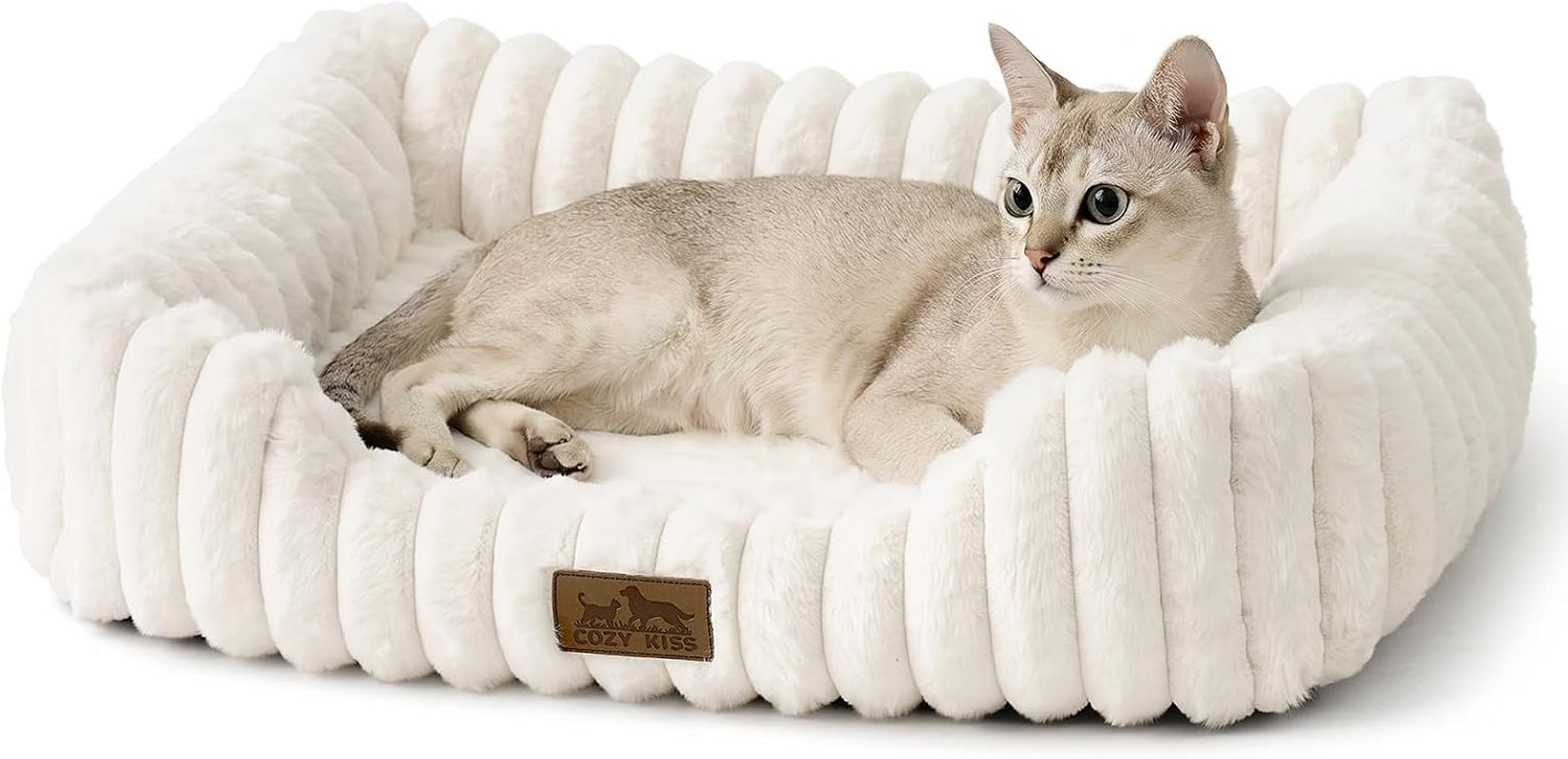 orthopedic-dog-bed-for-small-dogs-cats-washable-rectangle-pet-bed-with-anti-slip-bottom-soft-calming-cat-puppy-bed-for-indoor-pets-25x21x6-cream