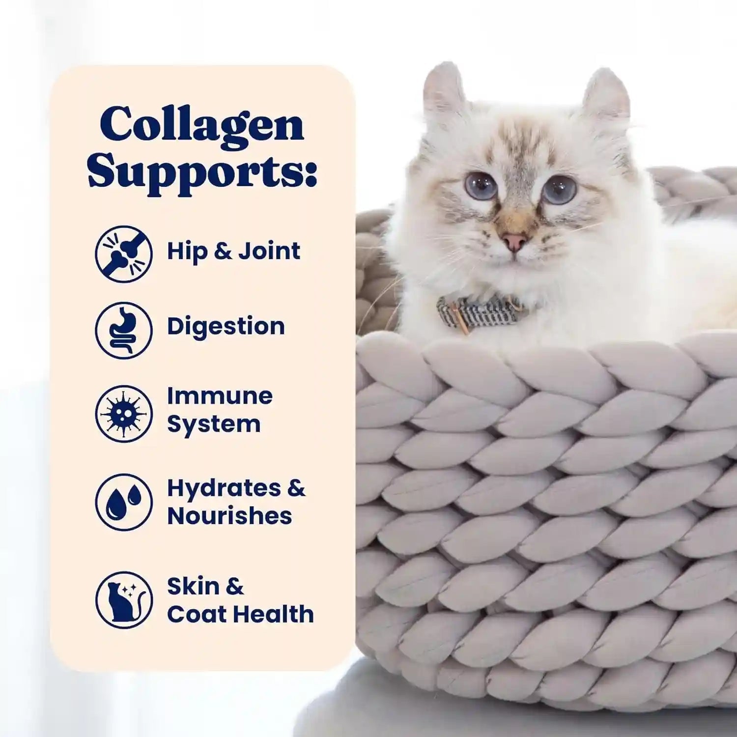 solid-gold-bone-broth-cat-food-topper-limited-ingredient-lickable-cat-broth-pouches-w-salmon-protein-shreds-collagen-for-hydration-gut-support-easy-to-serve-gravy-for-cats-meal-topper-12ct