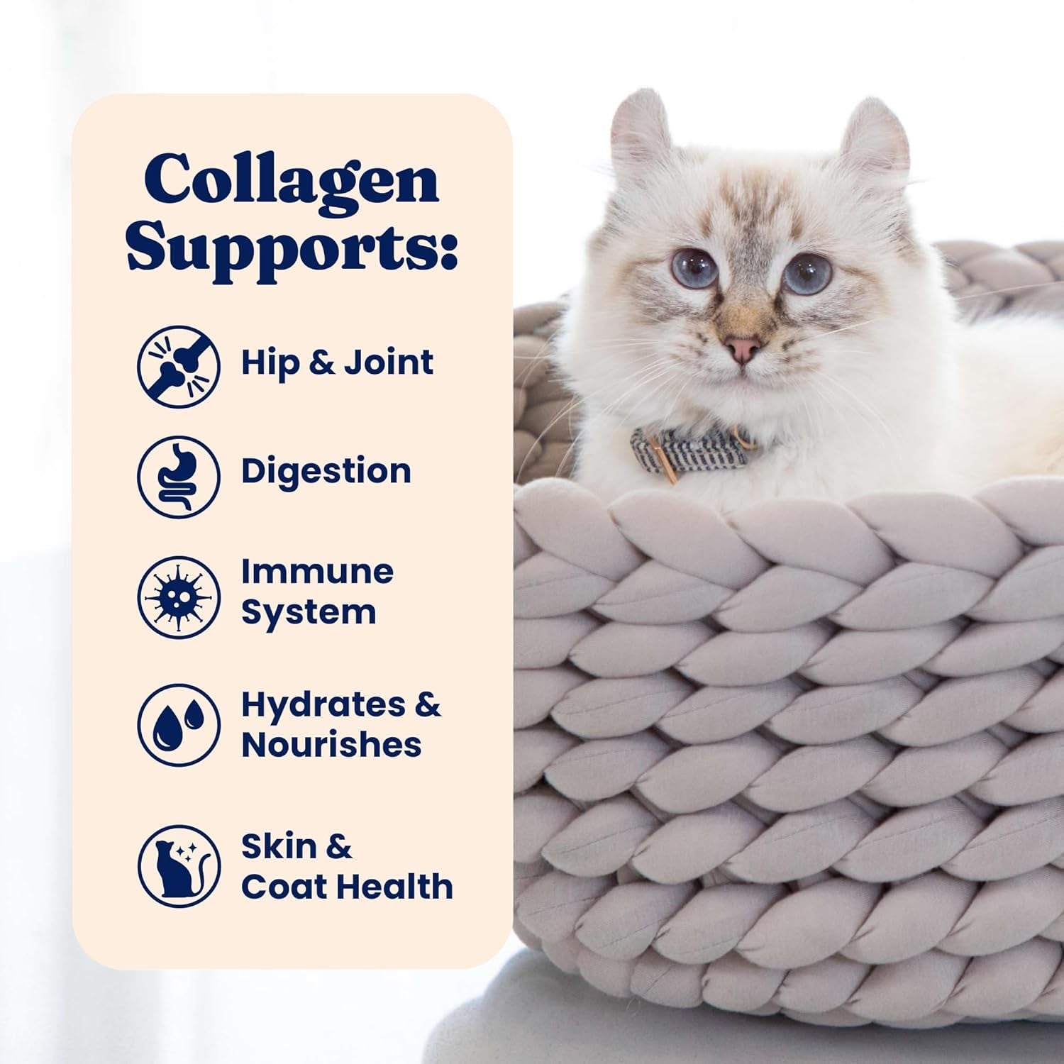 solid-gold-bone-broth-cat-food-topper-limited-ingredient-lickable-cat-broth-pouches-w-salmon-protein-shreds-collagen-for-hydration-gut-support-easy-to-serve-gravy-for-cats-meal-topper-12ct